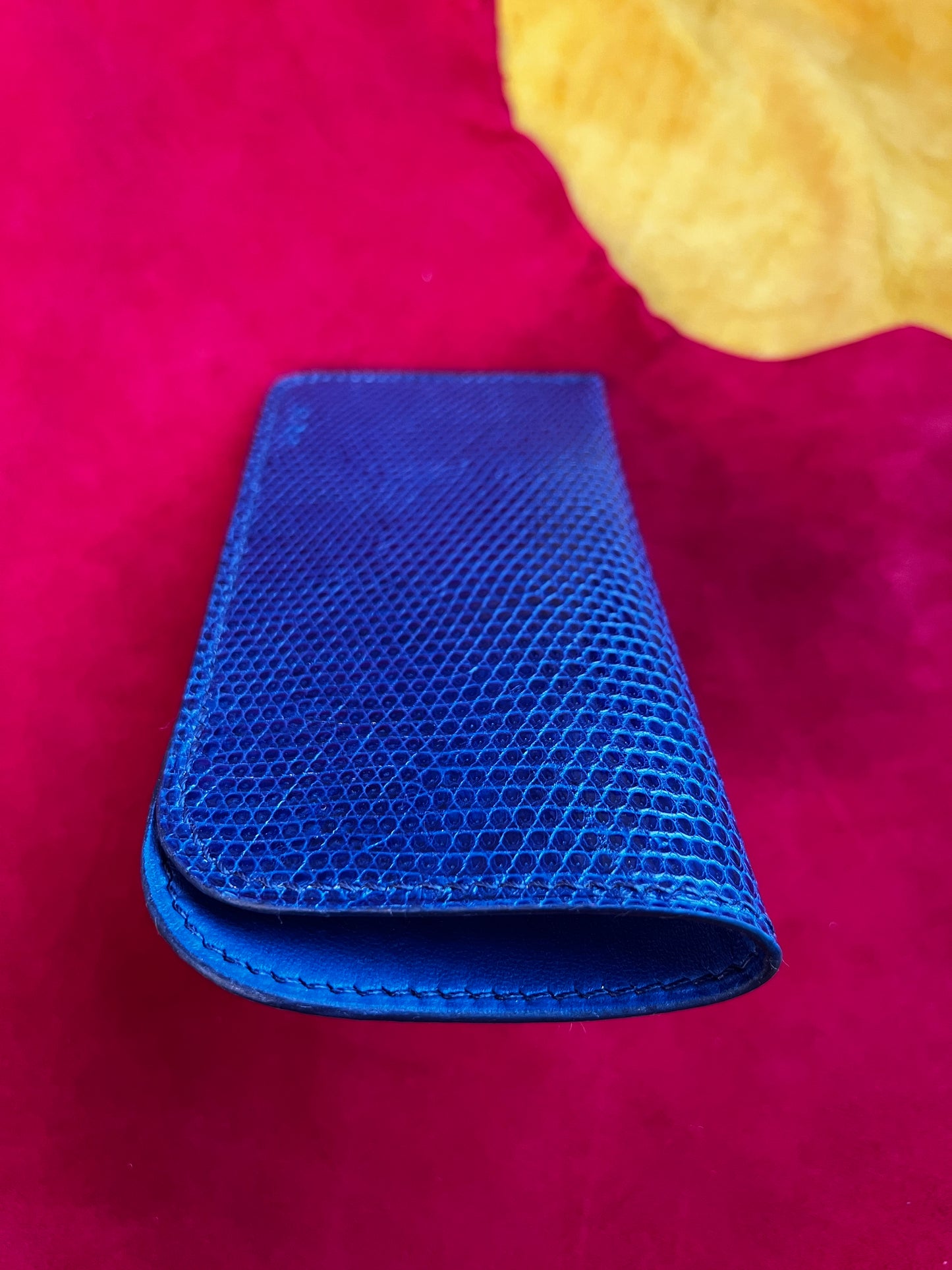 Étui à lunettes Bleu