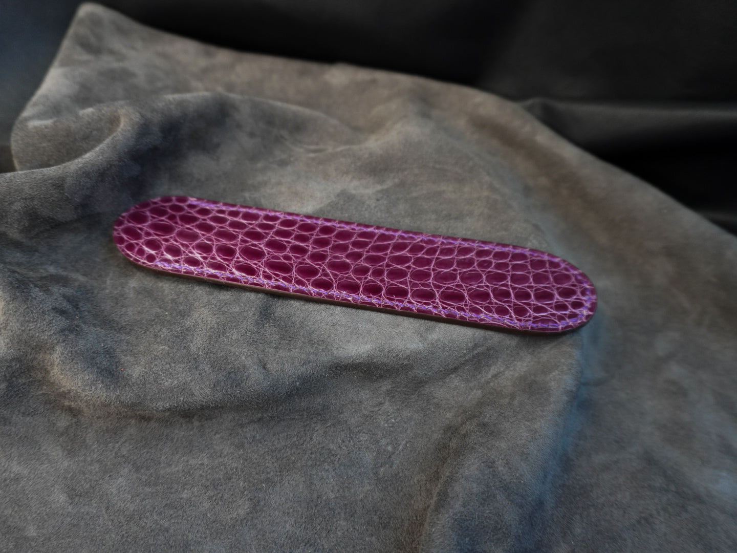Étui à stylo en cuir d’alligator