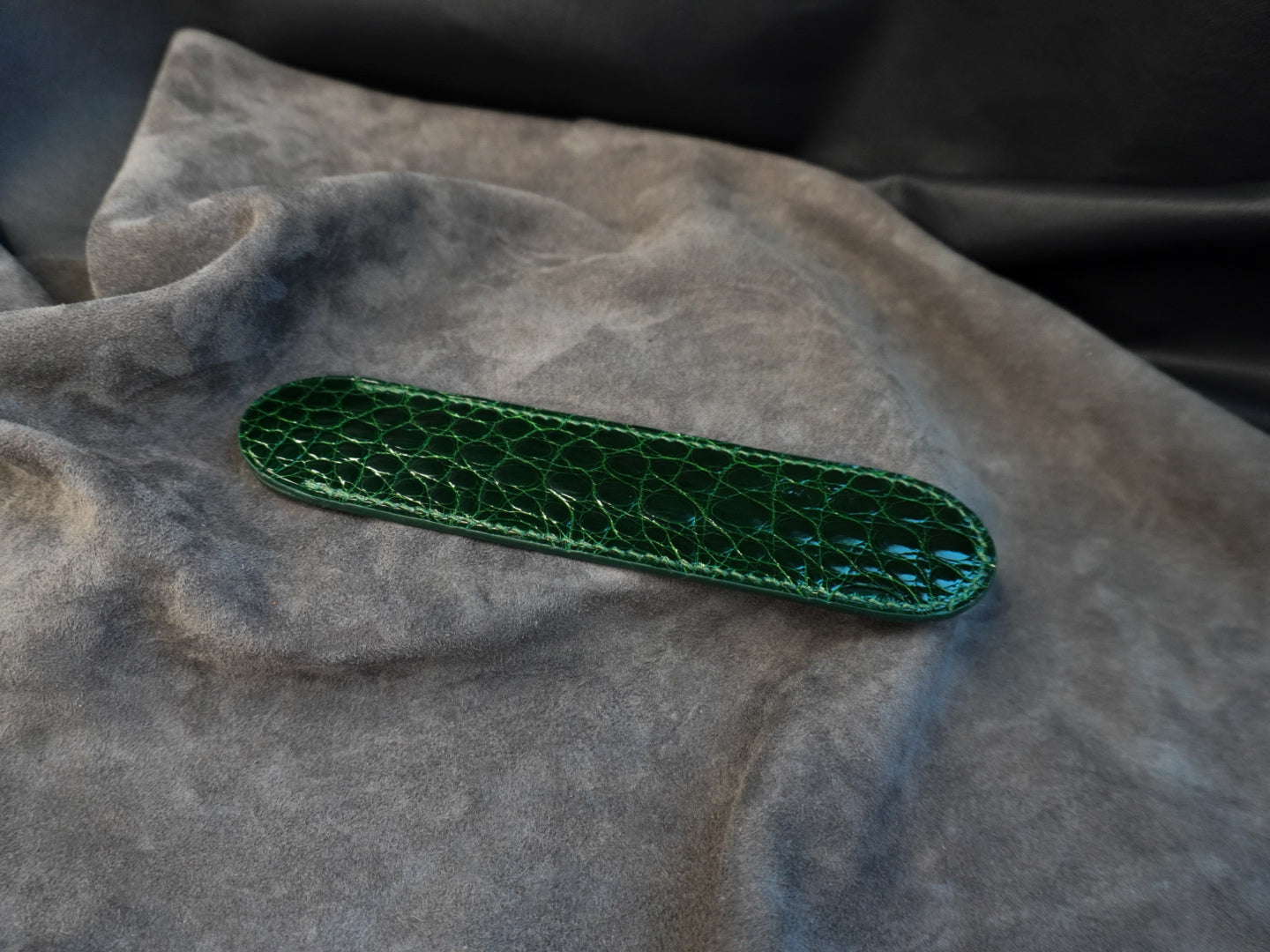 Étui à stylo en cuir d’alligator