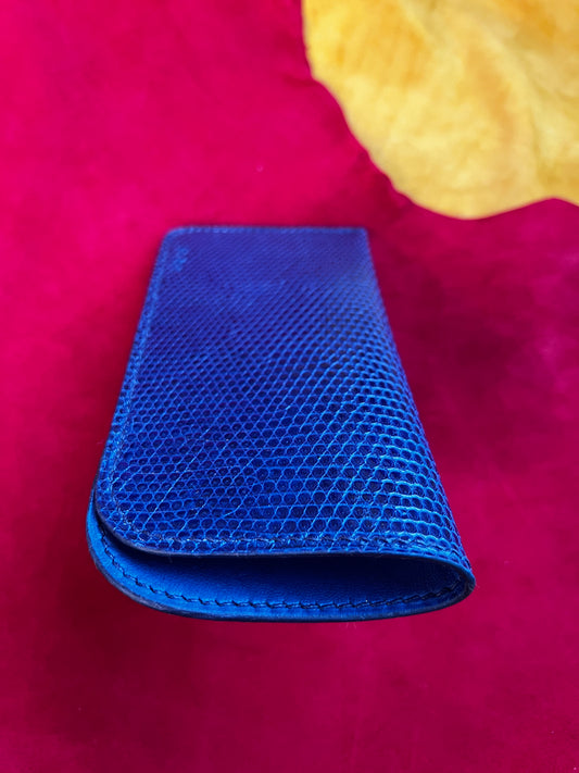 Étui à lunettes Bleu