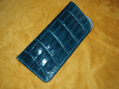 Étui à lunettes bleu