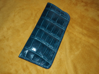 Étui à lunettes bleu